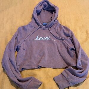 Purple/brown Cropped Hoodie Sweatshirt